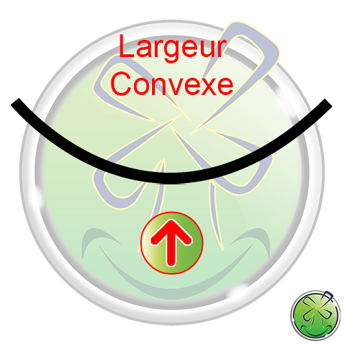 Largeur Convexe